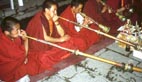 Тибет - монахи.